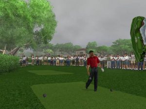 Tiger Woods PGA Tour 2004